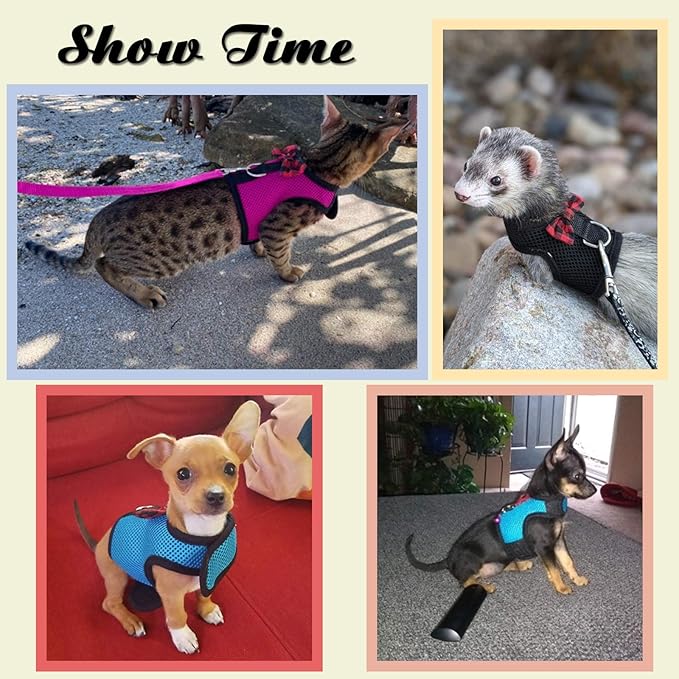 Rypet Small Animal Harness and Leash - Soft Mesh Small Pet Harness with Safe Bell, No Pull Comfort Padded Vest for Small Pet Pink S