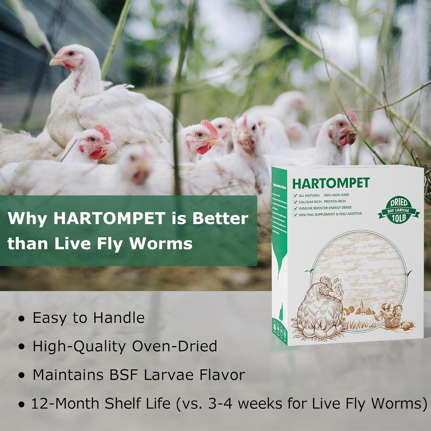 Dried BSF Larvae for Chickens - Non-GMO Poultry Feed Supplement, 85X More Calcium Than Mealworms, 10LB Grub Worms Perfect for Molting & Laying Hens, Ducks, and Wild Birds