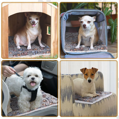 Tuanse 4 Pack Ultra Soft Dog Cat Bed Mat with Cute Prints Reversible Fleece Dog Crate Kennel Pad Cozy Washable Thickened Hamster Guinea Pig Pet Bed Mat for Small Animals(13 x 19 Inches,Gray)