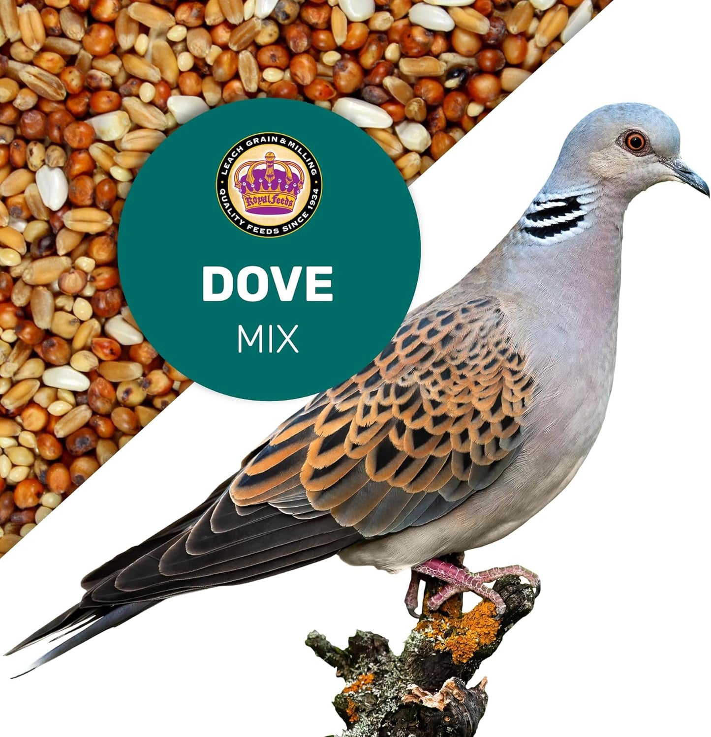 Dove Mix 5 Lbs, Dove Food, Premium Dove Bird Seed, Nut Free Mix Feed for Dove, Nutrient-Rich Mixed Birdseeds, Supports Daily Energy Growth & Healthy Balanced Diet, Bird Seed for Outside Feeders