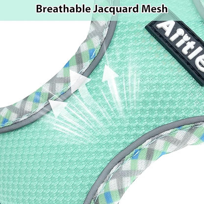 AIITLE Tiny Dog Harness - Lightweight Mesh Step-in Vest for Puppy, Reflective & Escape-Proof Design with High-Stick Magic Tape - Indoor/Outdoor Use for Chihuahua, Maltese, Shih Tzu(Turquoise, XXXS)