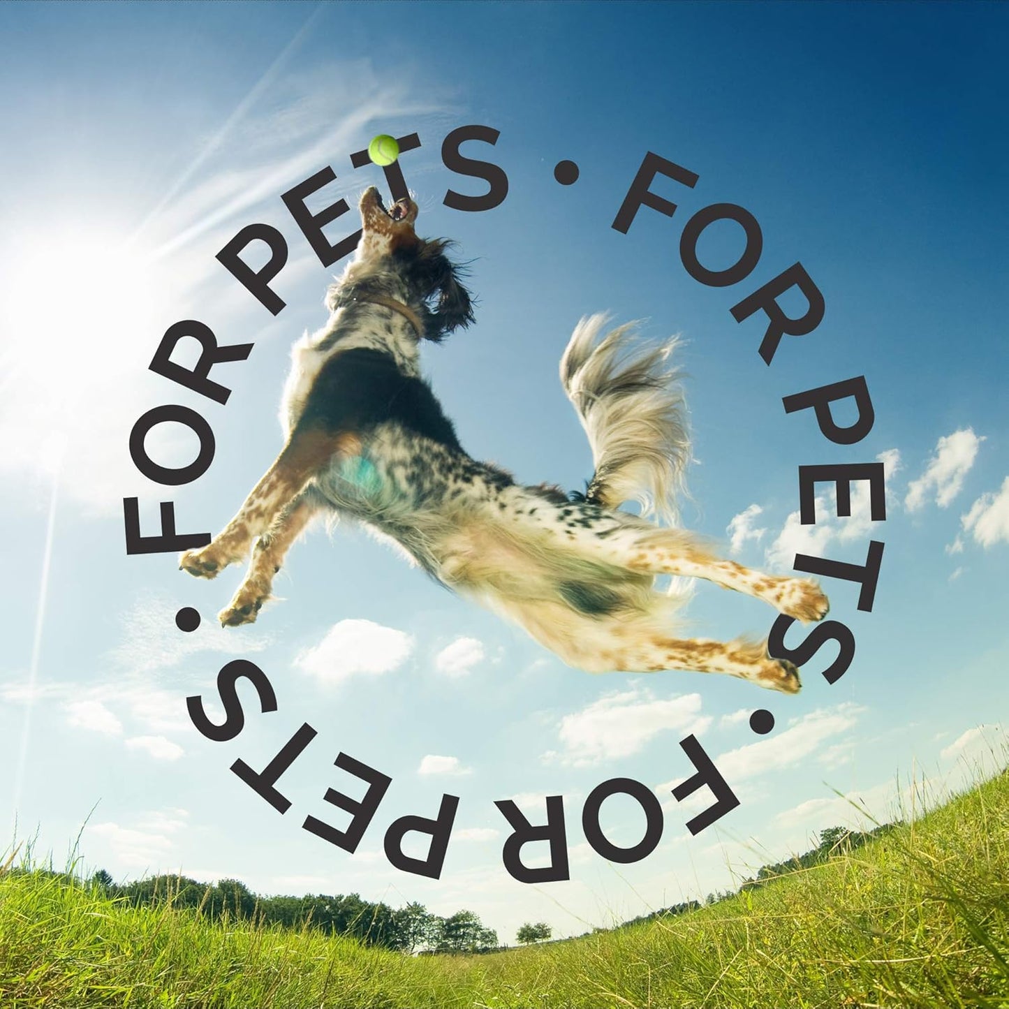 Bark2Basics Dog Ear Cleaner, 1 Gallon - All Natural, Witch Hazel, Gentle Aloe Vera and Chamomile Extract Base, Breaks Through Tough Wax and Debris, Soap-Free