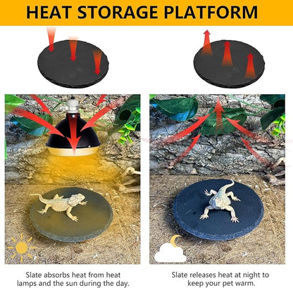 Reptile Basking Platform 6.0IN Turtle Rock Slate Plate Food Bowl Feeding Dish Tortoise Bathing Resting Terrace for Bearded Dragon Chameleon Gecko Snake Lizard Frog Newt