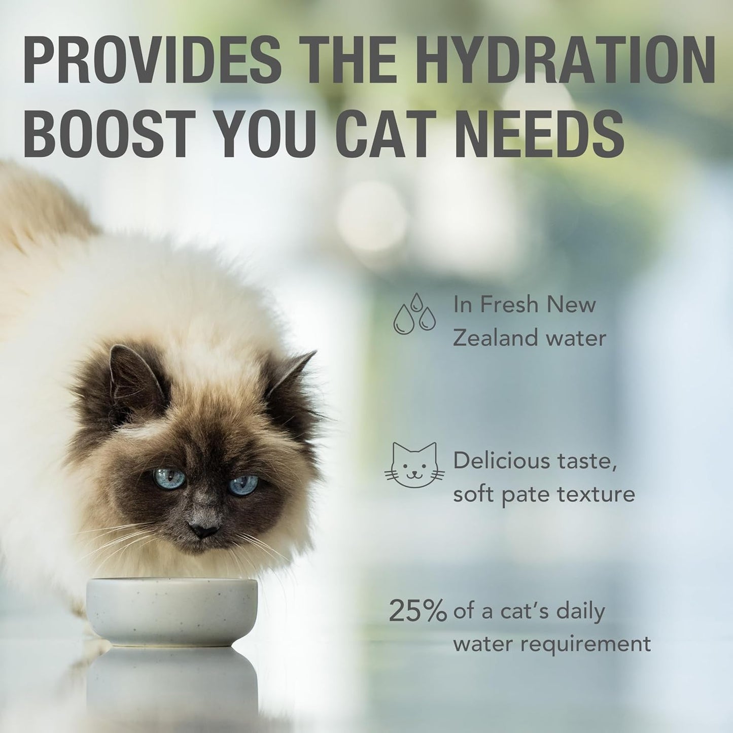 Feline Natural Wet Cat Food Pouch - Lamb & Salmon Feast, Grass-Fed & Wild-Caught, Grain-Free New Zealand Pate, 3oz Single Serve, Pack of 12