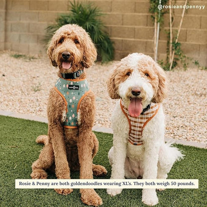 Lucy & Co. Cute Reversible Dog Harness Walking Halter - Best Designer Pet Harnesses for XS - XL Dogs - Padded Adjustable Vest for Easy Walking (X-Small, Neutral Brown Plaid with Blue Trees)