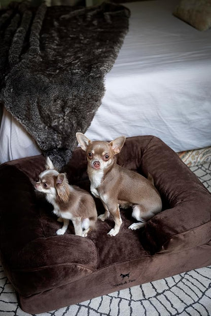 NOAH & PAW Dog Bed, 28x23x11 Inch, Orthopedic Dog Beds for Medium Size Pets, Eggshell Memory Foam Infused with Cooling Gel, Inner Cover, Waterproof, Machine Washable (Velvet Sofa Collection)