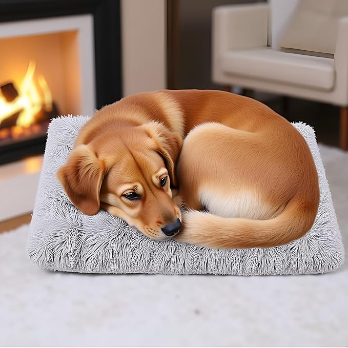 Fluffy Small Dog Bed, Washable Warm Winter Heated Calming Dog Crate Bed for Small Size, Supportive Plush Crate Pad for Dogs(18 * 12", Light Grey).