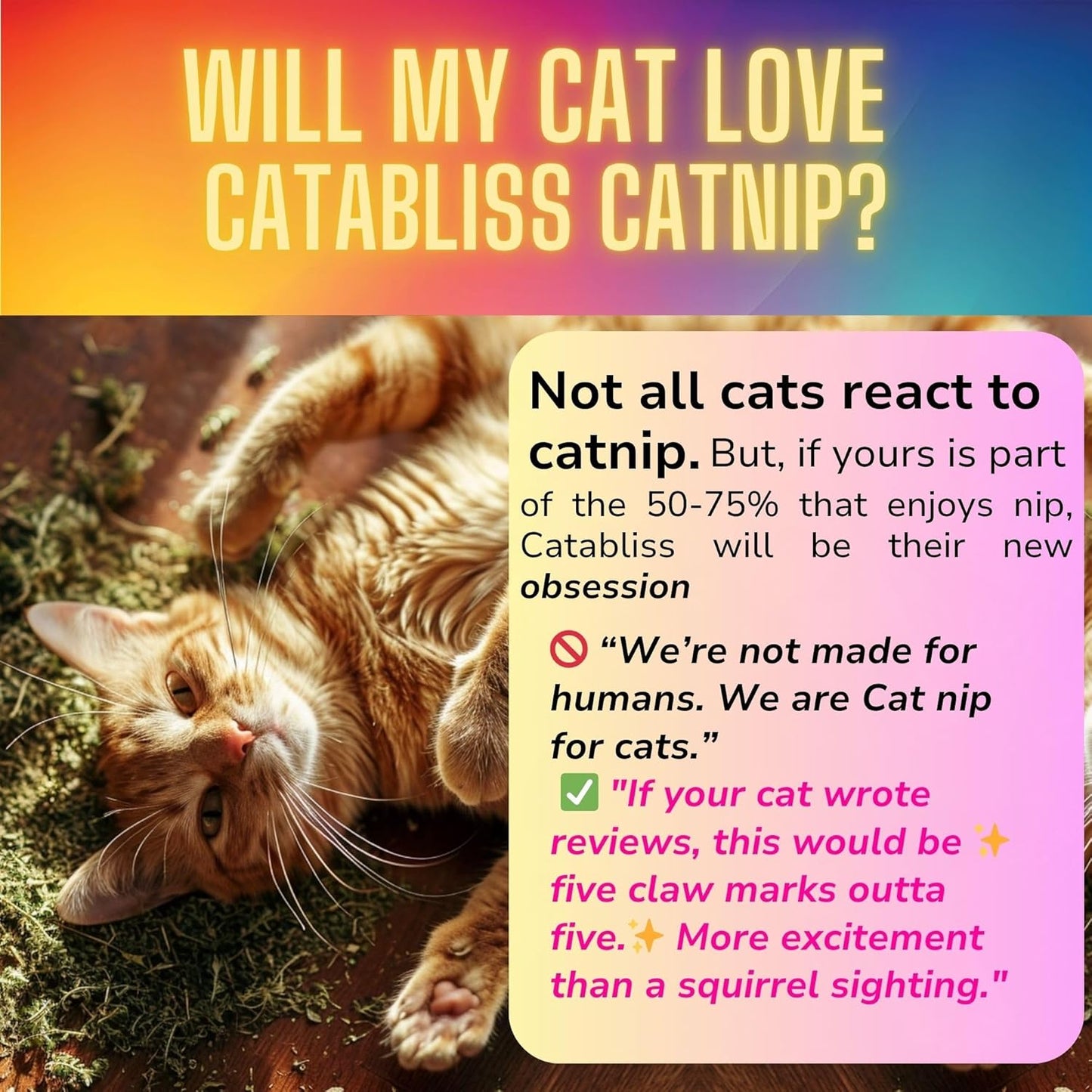 Catnip for Cats – 1oz Jar - 100% Essential Natural Cat Nip Herb Resealable Jar - Fresh Aroma Stimulates Activity & Enhancing Play for Indoor Cats - Great for Cat Nip Toys, Play & Training