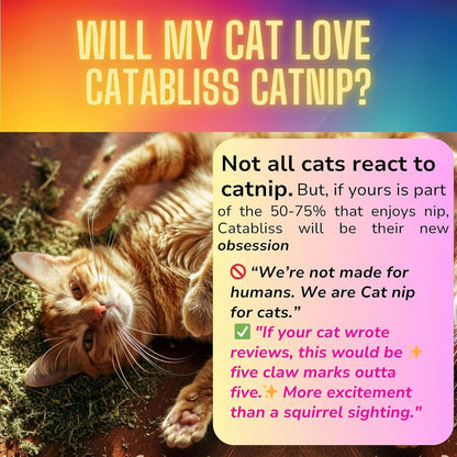 Catnip for Cats – 1oz Jar - 100% Essential Natural Cat Nip Herb Resealable Jar - Fresh Aroma Stimulates Activity & Enhancing Play for Indoor Cats - Great for Cat Nip Toys, Play & Training