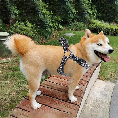 QQPETS Dog Harness Leash Set Adjustable Heavy Duty No Pull Halter Harnesses for Small Medium Large Breed Dogs Back Clip Anti-Twist Perfect for Walking