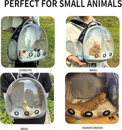 Bearded Dragon Lizard Backpack Carrier with Harness and Leash Set, Small Animal Carrier Backpack, Space Capsule Bubble Window, Small Pet Carrier Backpack, Airline Approved (Black)