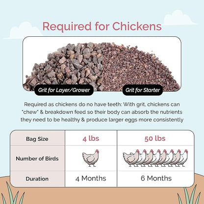 Mile Four Chicken Grit for Layer & Grower Chickens Age 8-20+ Weeks - 100% Natural Mineral Chicken Grit Quartzite, Poultry Grit, USA Mined, 4 lbs