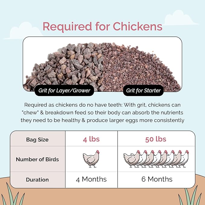 Mile Four Chicken Grit for Layer & Grower Chickens Age 8-20+ Weeks - 100% Natural Mineral Chicken Grit Quartzite, Poultry Grit, USA Mined, 50 lbs