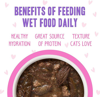 Weruva B.F.F. OMG - Best Feline Friend Oh My Gravy!, Tuna & Duck Devour Me with Tuna & Duck in Gravy Cat Food, 3oz Pouch (Pack of 12)