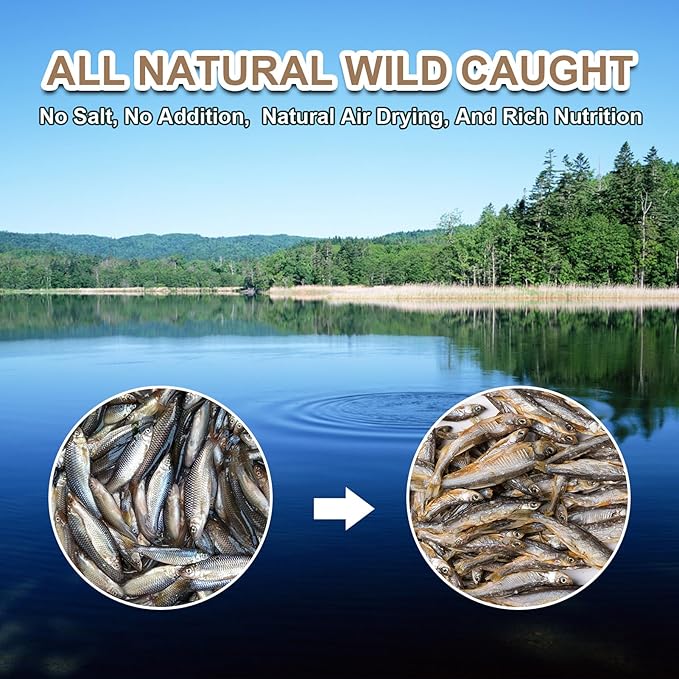 Dried River Fish - Dried Minnows Natural Food for Turtles Terrapins Cats Reptiles Large Tropical Fish（5.5 OZ）