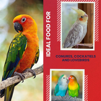 5LB 3400 Wholesome Conure & Cockatiel Blend