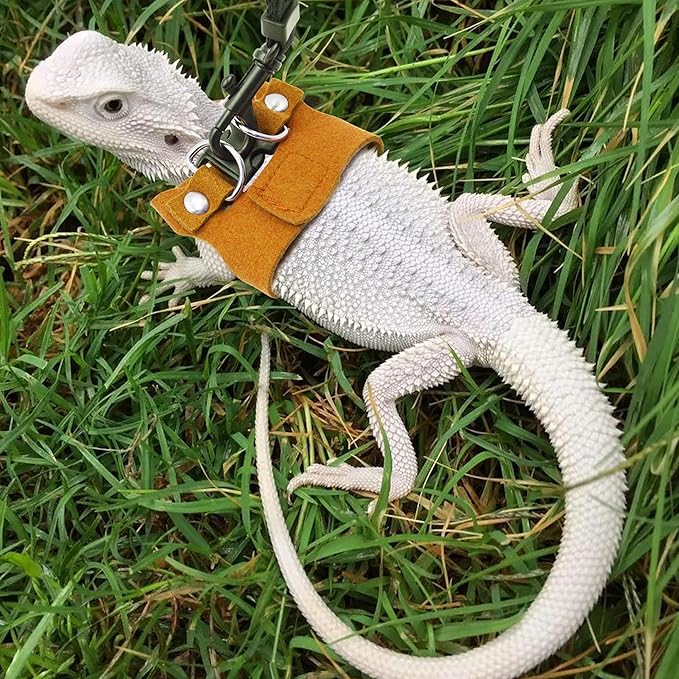 Bearded Dragon Harness and Leash Set, 3 Size Adjustable Soft Leather Reptile Leash, Lizard Harness with Retractable, Small Animal Outdoor Walking Vest with Traction Rope, 3 Pack (Brown)