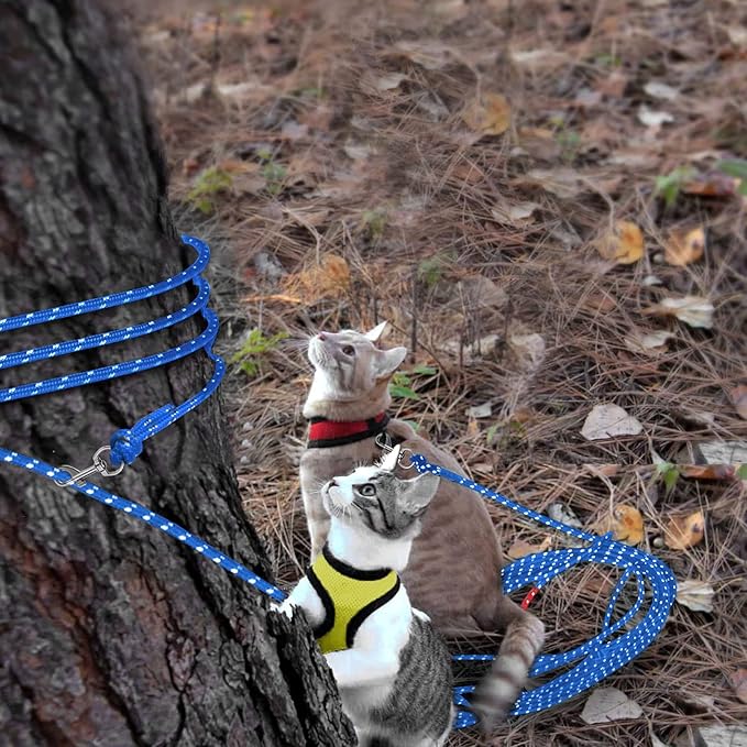 Rypet Reflective Cat Long Leash - 50 FT Escape Proof Walking Leads Yard Long Leash Durable Safe Personalized Extender Leash Traning Play Outdoor for Kitten, Puppy, Rabbit and Small Animals