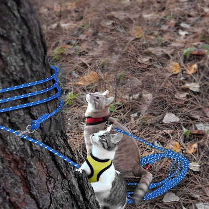 Rypet Reflective Cat Long Leash - 50 FT Escape Proof Walking Leads Yard Long Leash Durable Safe Personalized Extender Leash Traning Play Outdoor for Kitten, Puppy, Rabbit and Small Animals
