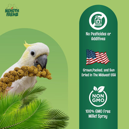Nemeth Farms–Natural Sun Dried Millet Spray for Pet Birds–Bulk Parrot Seed Treats and Parrot Food–Natural Non GMO Millet Spray–Cockatiels Lovebirds Parakeet 2 lbs.