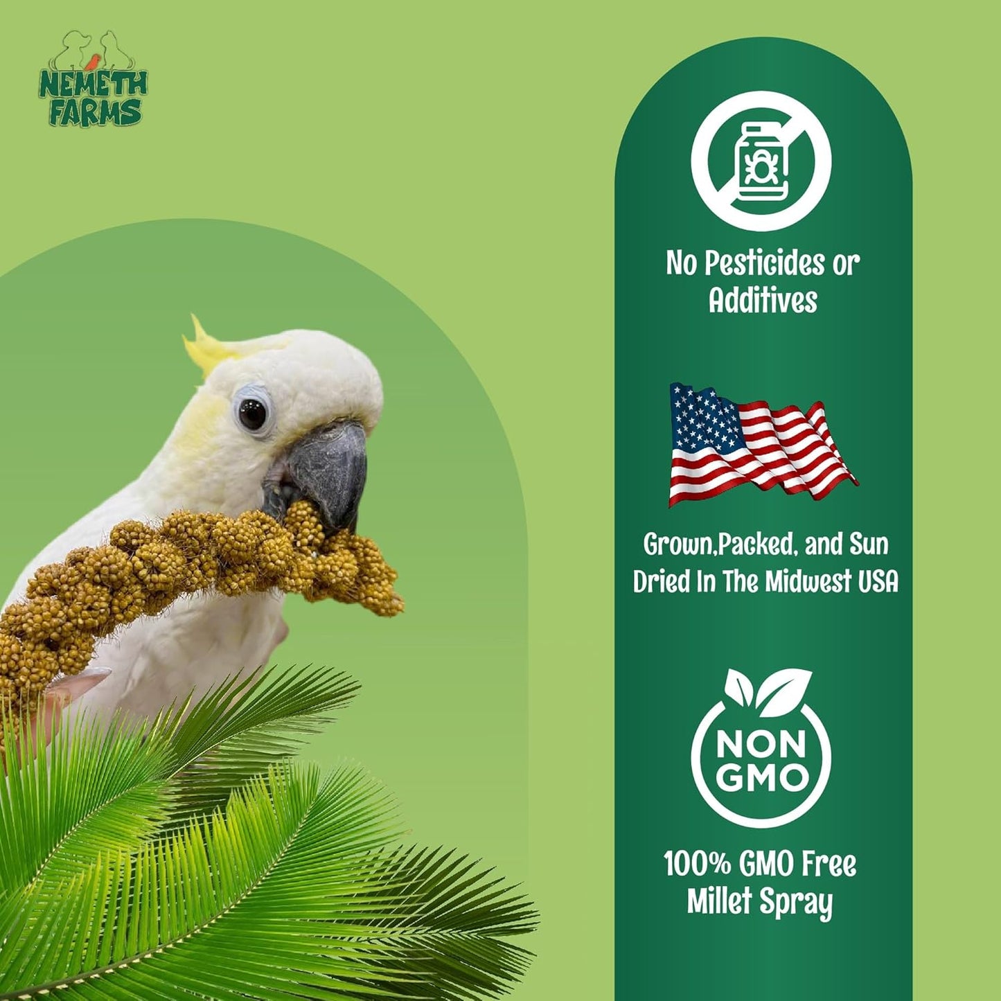 Nemeth Farms Worlds Freshest GMO-Free, Sun Dried Spray Millet No Stems Only Edible - Tops-Original Bird Treat and Supplement for Pet Birds Parakeets, Cockatiels, Lovebirds and Finches - 5lbs