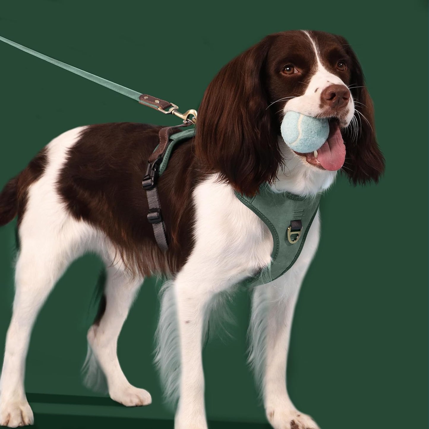 No Pull Dog Harness Small Sized Dog,Stylish PU Leather Vest with Easy Control Handle,No Choke Front Clip with 2 Metal Leash Clips,Reflective & Adjustable for Walking,Green,Chest 19-24"