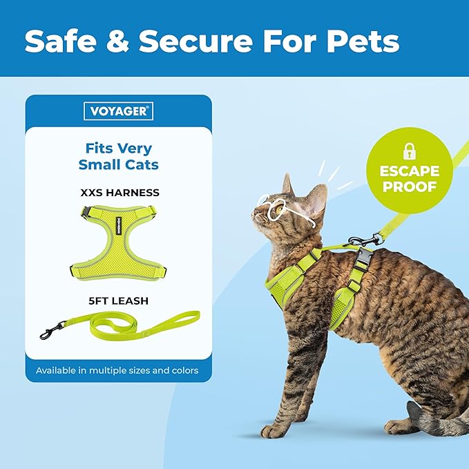Voyager Escape Proof Cat Harness and Leash Set with Reflective Stitching, Neoprene Handle 5ft - Supports Small, Medium and Large Cats, Kittens for Walking by Best Pet Supplies - Lime, XXS