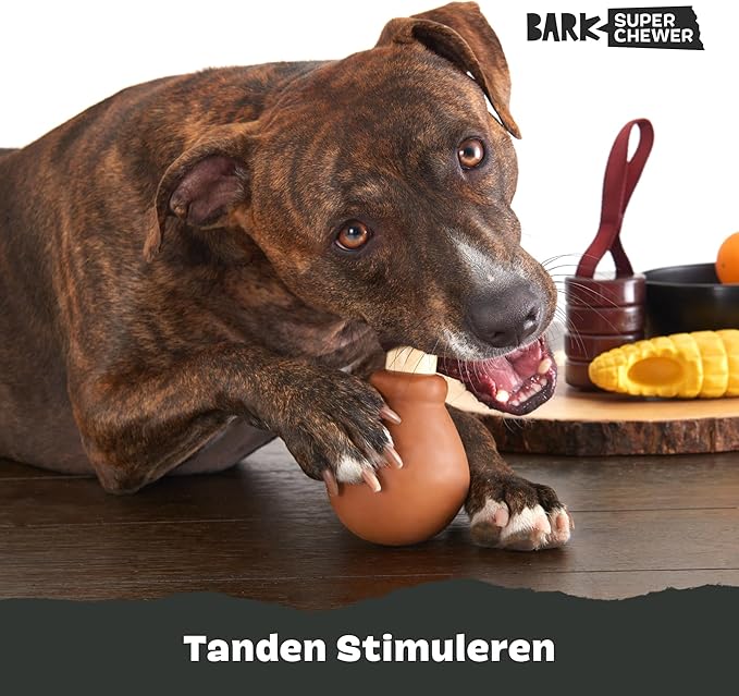 Barkbox Super Chewer Tough Dog Chew Toys for Aggressive Chewers, Dental Stimulating (Turkey - Large)