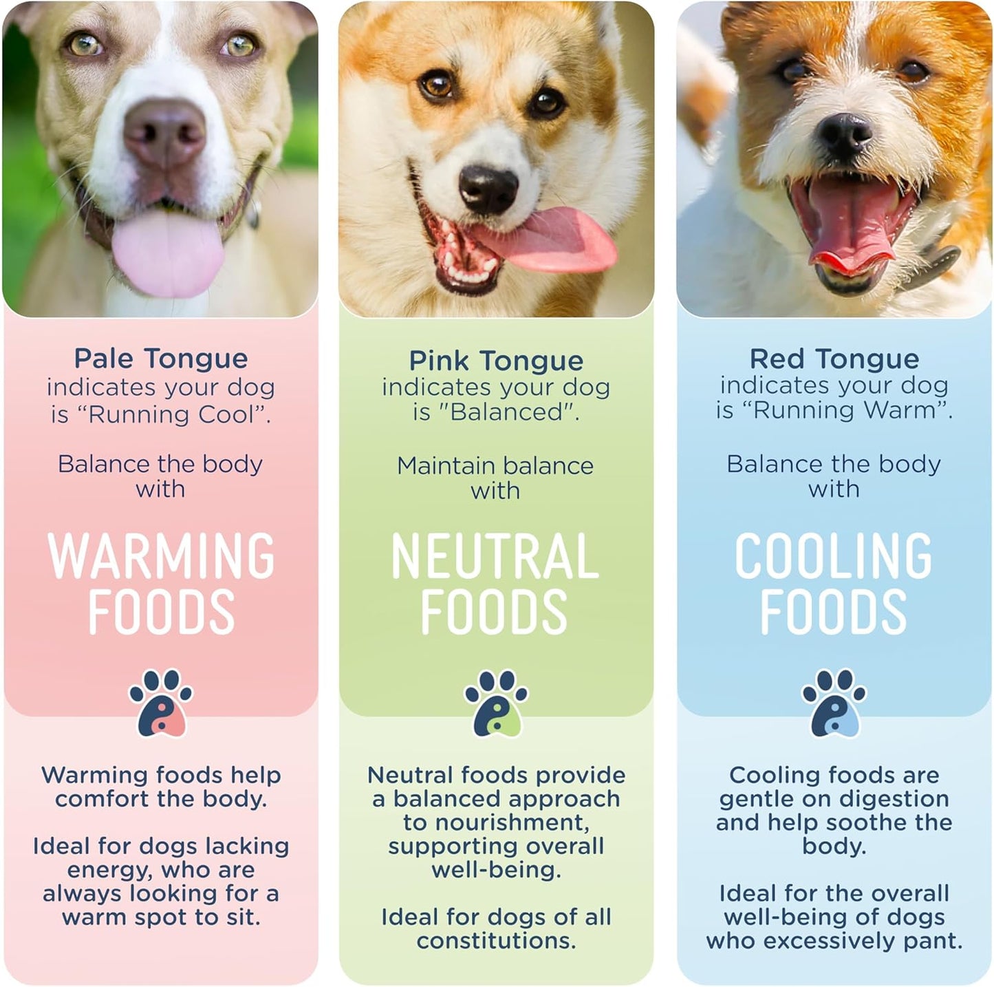 Side by Side Chicken & Lamb | Beef & Salmon Stew - Wet Dog Food & Dog Food Topper for All Breeds - Made with Nutrients & Whole Raw Ingredients - No Artificial Additives or Fillers (12.5 oz, 4-Pack)