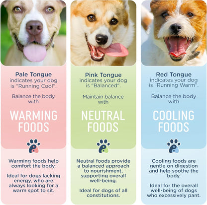 Side by Side Chicken & Lamb Stew - Warming Wet Dog Food & Dog Food Topper for All Breeds - Made with Nutrients & Whole Raw Ingredients - No Artificial Additives or Fillers - USA Made (12.5 oz, 3-Pack)