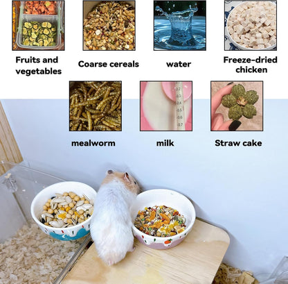 2 Pack Hamster Food Bowl Small Animals Ceramic Food Water Bowl Prevent Tipping Moving for Gerbil Chinchilla Hedgehog Rat (Color: Purple + Blue)