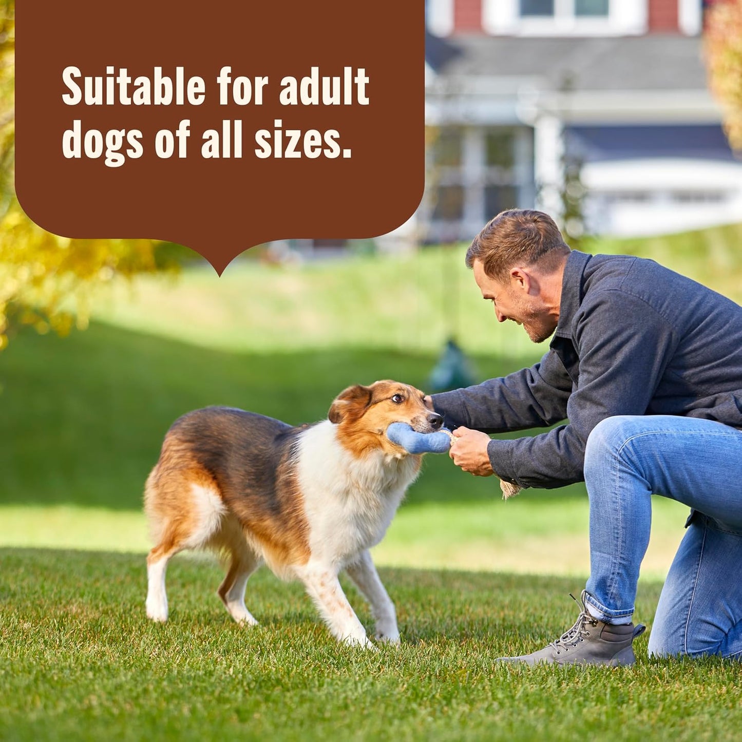 Nutrish Rachael Ray Weight Management Wet Dog Food Premium Paté Real Turkey & Pumpkin Recipe, 13 oz. Can, 12 Count