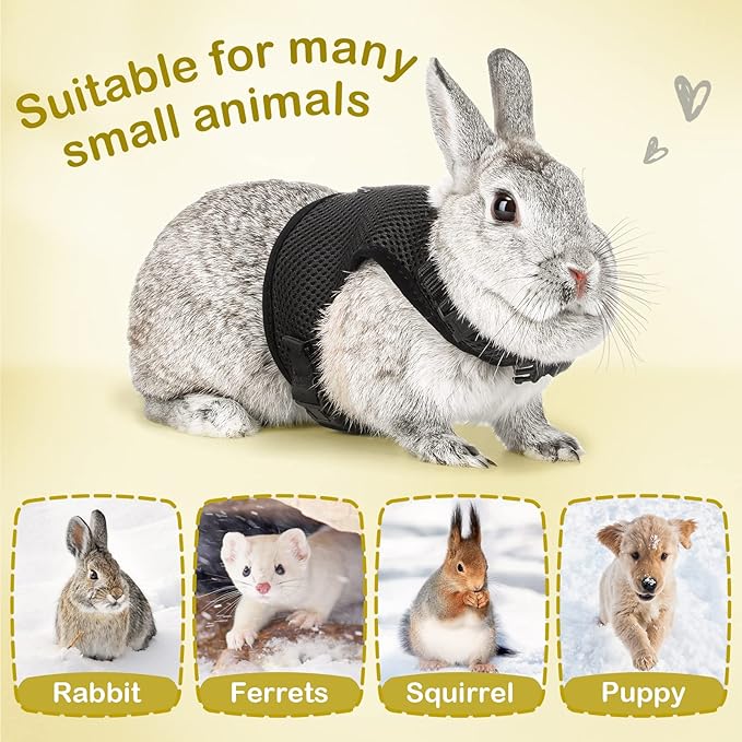PETTOM Bunny Rabbit Harness with Stretchy Leash Cute Adjustable Buckle Breathable Mesh Vest for Kitten Small Pets Walking (Black,S)