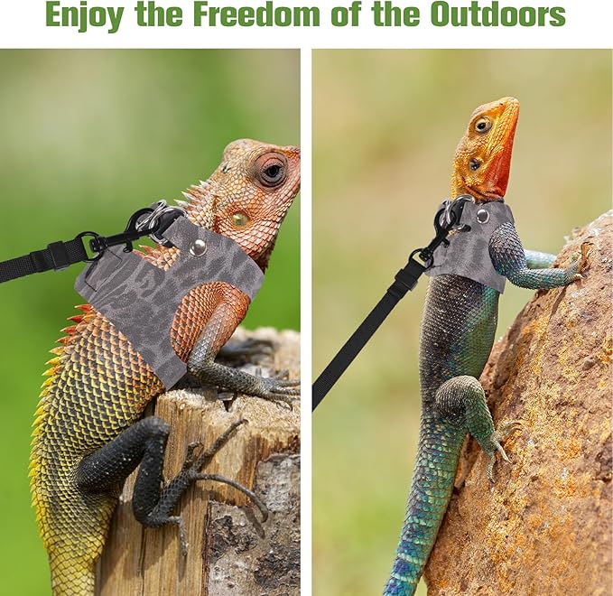Bearded Dragon Lizard Leash Harness 3 Size Pack Leopard Print Lizard Harness Leash for Outdoor Small Reptiles Animal Squirrels (Grey)