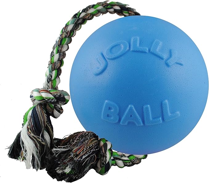 Jolly Pets Romp-n-Roll Rope and Ball Dog Toy, 8 Inches/Large, Blueberry, All Breed Sizes