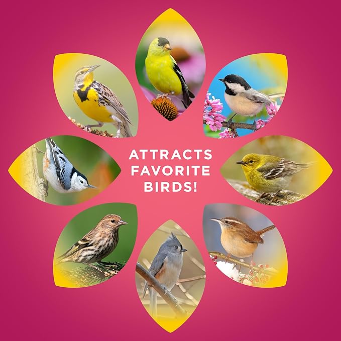 Audubon Park Sunflower Hearts Wild Bird Seed for Outside Feeders, 15-lb. Bag