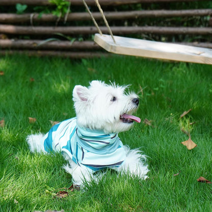 ROZKITCH Dog Sweaters for Small Medium Dogs Male Boy Girl,Soft Stretchy Turtleneck Pullover Shirt with Leash Hole for Medium,Warm Winter Coat for BlueStripe M