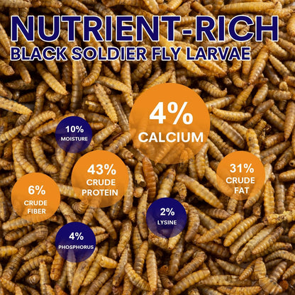 5lbs Dried Black Soldier Fly Larvae for Chickens - 100% Natural BSF Larvae More Calcium Than Dried Mealworms - High Protein BSFL Chicken Treats for Laying Hens Ducks Birds