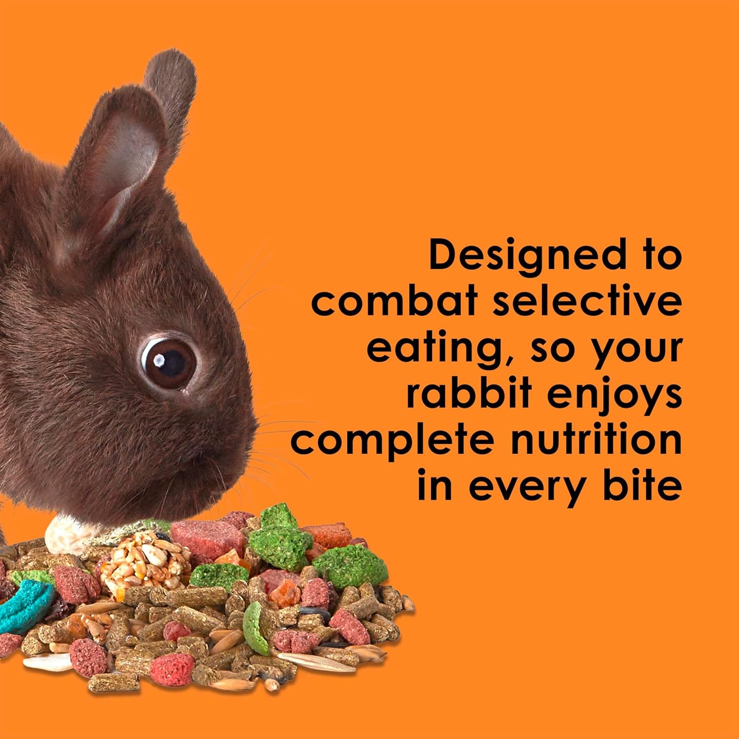 Kaytee Fiesta Rabbit Food, Nutritious and Fun Blend, Supports Dental Health and Digestion, 3.5 pounds