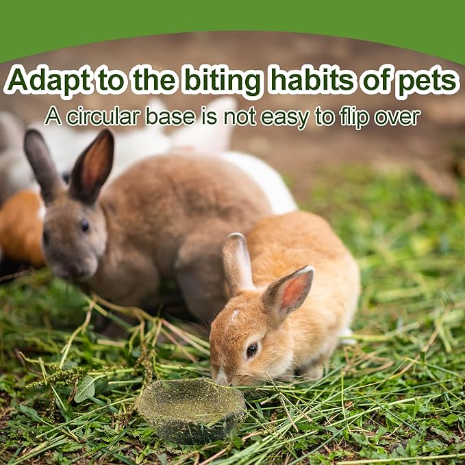 5 Pack Furry Timothy Hay Chewing Bowl for Guinea Pig & Bunnies,Edible Guinea Pig Food,Guinea Pig Toys, Bunny Toys