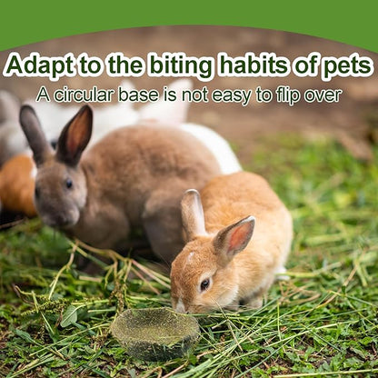 5 Pack Furry Timothy Hay Chewing Bowl for Guinea Pig & Bunnies,Edible Guinea Pig Food,Guinea Pig Toys, Bunny Toys