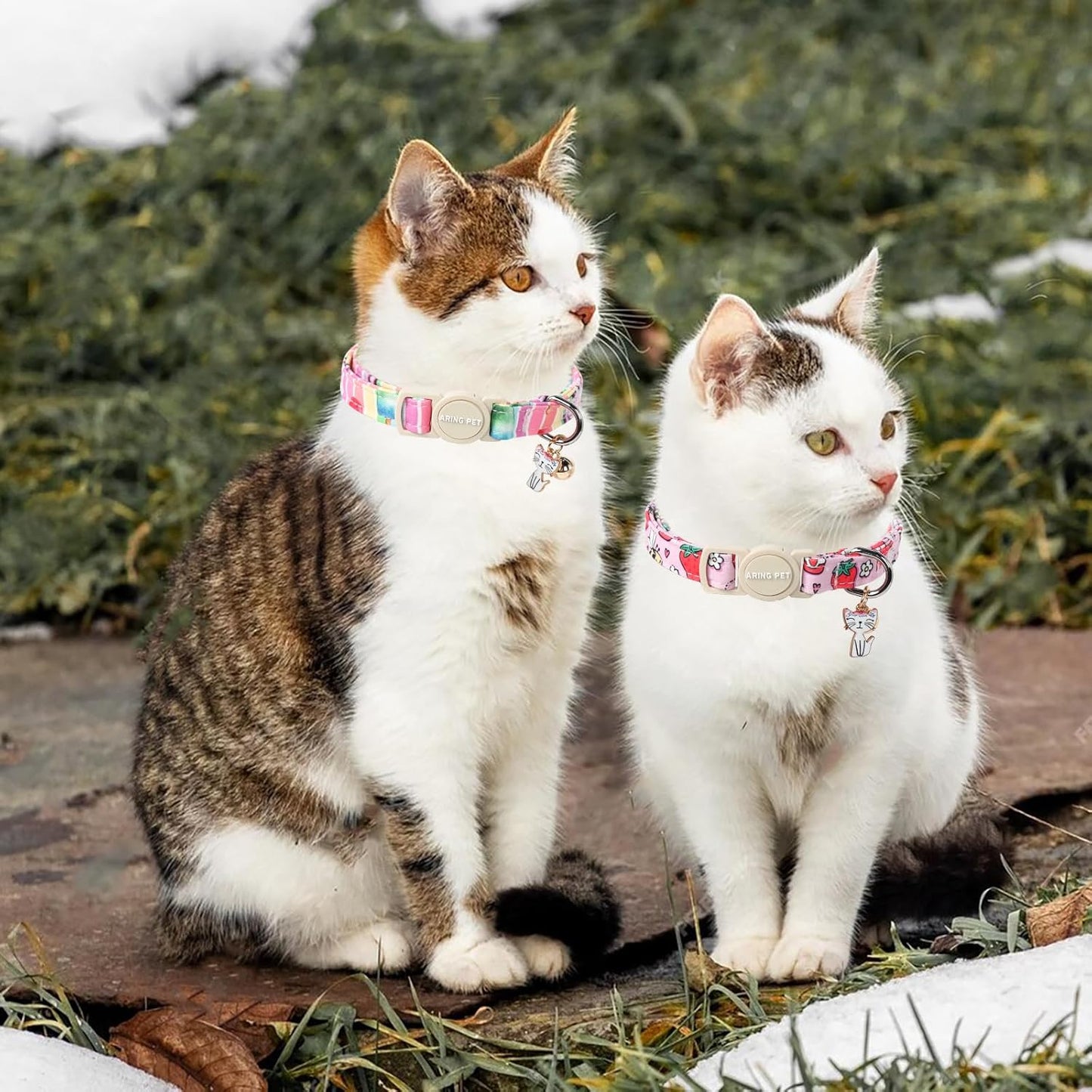 ARING PET 2 Pack Cat Collars-Cute Breakaway Cat Collar with Bell & Pendant, Adjustable Strawberry&Ice Cream Pattern Kitten Collars with Safety Buckle for Girl and Boy Cats
