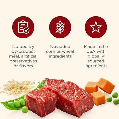 Nutrish Real Beef & Veggies Recipe Whole Health Blend Chunks in Gravy Wet Dog Food, 13 oz. Can, 12 Count, Packaging May Vary (Rachael Ray)