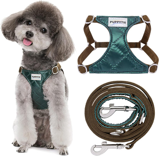 Puppytie No Pull Small Dog Harness with Multifunction Dog Leash,Lightweight Soft Adjustable No Choke Escape Proof Pet Harness Vest Pet Harness Vest,Glossy Dark Green,S