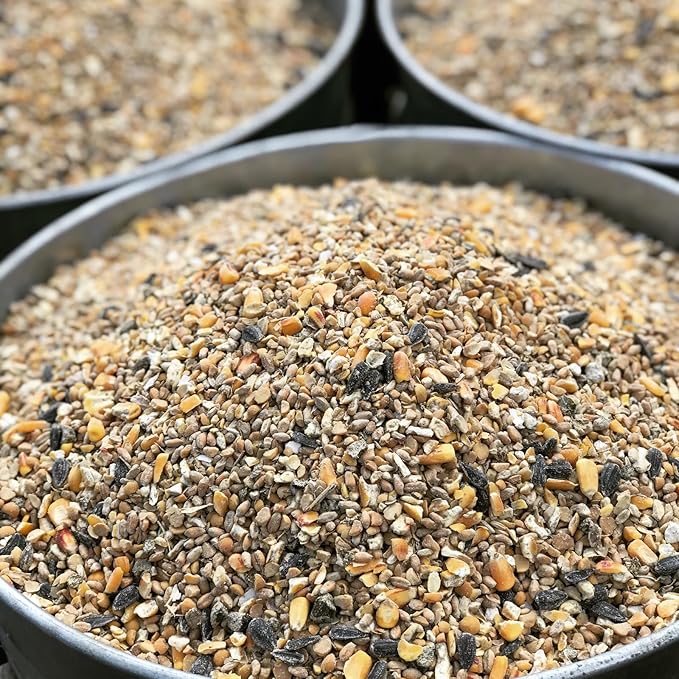 Non-GMO High-Protein Layer Blend 40 lb