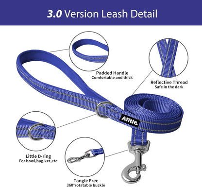 AIITLE No Pull Dog Harness and Leash Set, Step in Adjustable Dog Harness with Padded Vest for All Weather, Dog Leash with Soft Padded Handle, Easy to Put on Small and Medium Dogs Royal Blue S