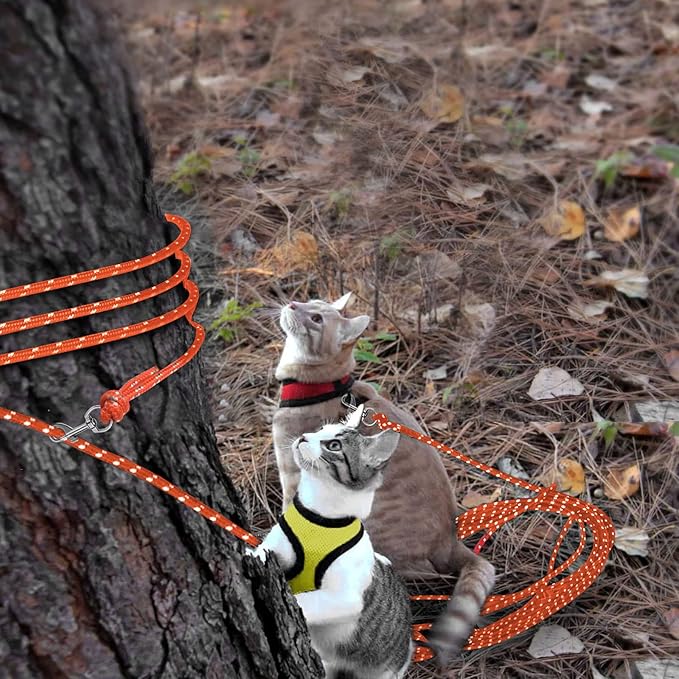 Rypet Reflective Cat Long Leash - 50 FT Escape Proof Walking Leads Yard Long Leash Durable Safe Personalized Extender Leashes Traning Play Outdoor for Kitten, Puppy, Rabbit and Small Animals