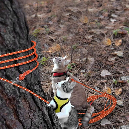 Rypet Reflective Cat Long Leash - 50 FT Escape Proof Walking Leads Yard Long Leash Durable Safe Personalized Extender Leashes Traning Play Outdoor for Kitten, Puppy, Rabbit and Small Animals