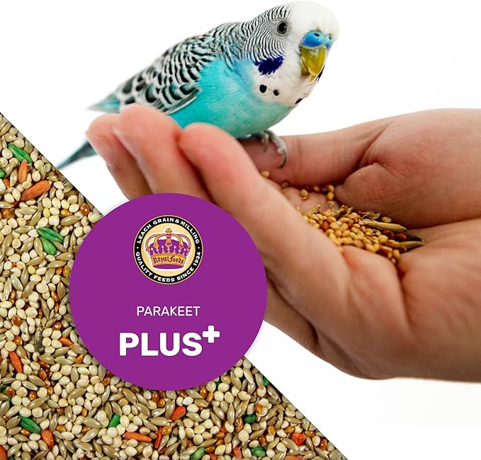 LEACH GRAIN & MILLING CO. Parakeet Food Plus, 5lbs Premium Parakeet Bird Food, Nutrient-Rich Blend, No Waste Bird Seed for Outside Feeders, Birdseed with Vitamins & Minerals, Supports Energy & Growth