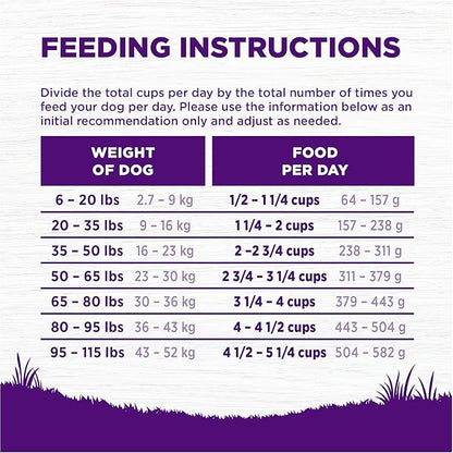 Wellness Complete Health Dry Dog Food, Grain Free, Natural, Chicken Recipe, (22-Pound Bag)